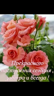 ПОЗДРАВЛЕНИЯ и благодарность подписчикам