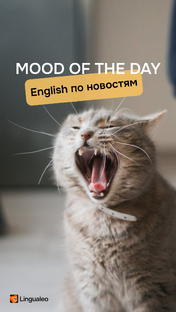 Mood of the day