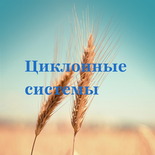 Циклонные систему