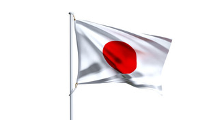 Авто под заказ из Японии