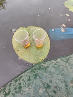 Рыбный рай 