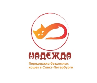 Донаты приюту ❤️
