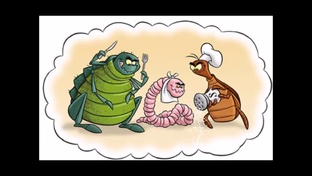 О мире, и жизни - наблюдения и заметки