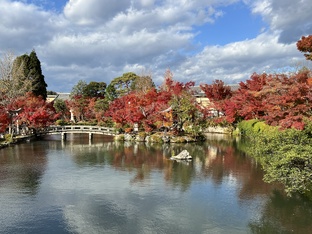 Япония в сезон момидзи