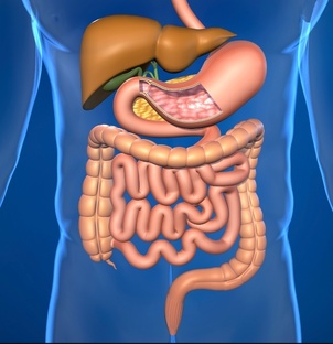 Онкология.ЖКТ