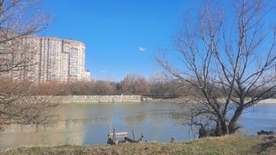 Проблемы Краснодарского края