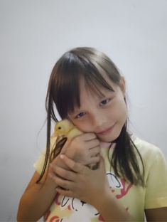 Город игрушек