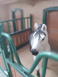 Шляйх