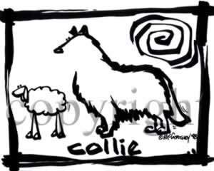 Колли - о породе