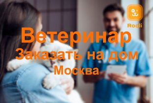 Выезд ветеринара на дом в Москве и Московской области: Вызов и Уход 