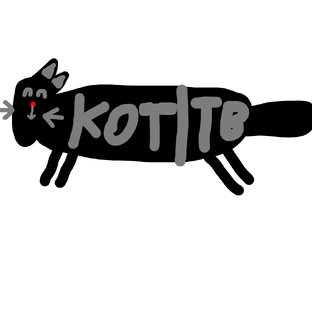 канал кот ТВ