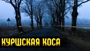 КАЛИНИНГРАД
