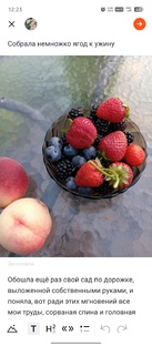 Система радужного питания