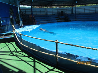 Кабардинка.