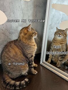 Все секреты и хитрости татарской кухни