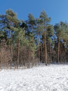 Кисловодск, январь 2024 года