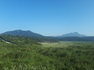 Летний пейзаж 