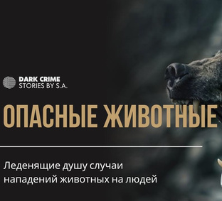 ОПАСНЫЕ ЖИВОТНЫЕ