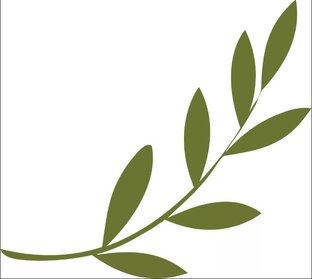 Цветы из семян