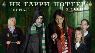 Не Гарри Поттер 