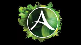 Видео по ArcheAge