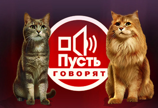 Пусть говорят коты