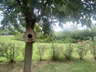 Дружим садами