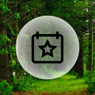 Мероприятия