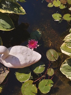 Декоративный пруд