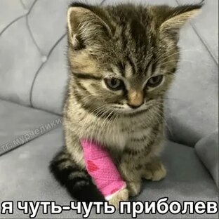 в западной части Турции море резко отошло от берега