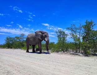 Африканское приключение: Намибия