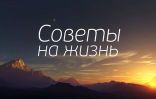 Советы на каждый день