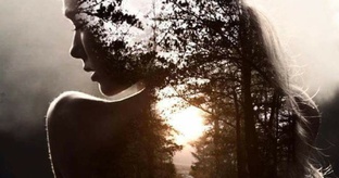 Цветы Во Вдовьем Яре