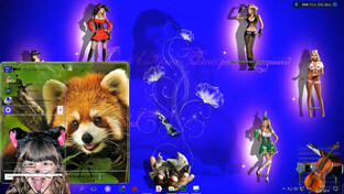 Компьютерные фишки