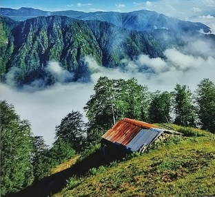 Понтийские новости