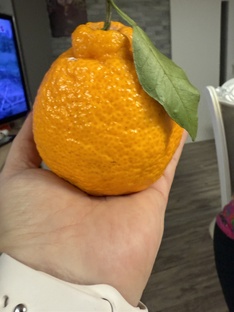 Рецепты с эфирными маслами