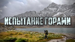 Короткие видео