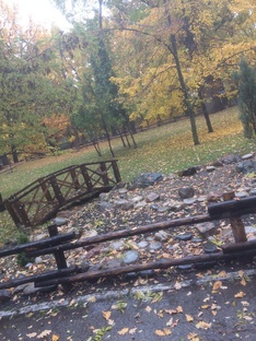 Осень не спросит