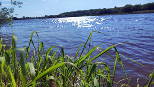 Рыбалка 2025 год