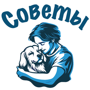 Советы и лайфхаки