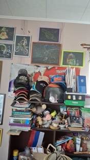 в альбоме будут картины которая украшена моя комната