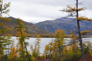 Осенняя Колыма и озеро Джека Лондона