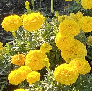 Гармоничные отношения между людьми.