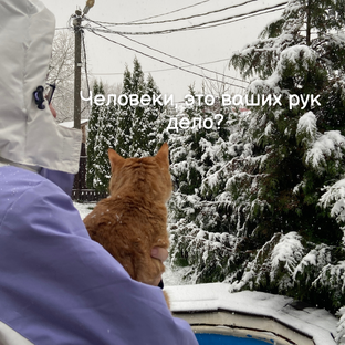 Юмор в картинках от Василисы