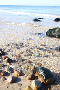 Балтики много не бывает