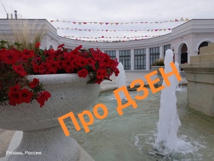 Всё про Дзен