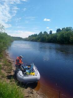 ПОДПИСКА МЕНЯ ПОРАДУЕТ