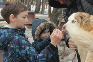КАК ЭТО ДЕЛАЕТСЯ