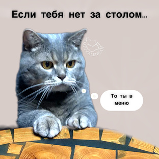 Статьи обо всем😍