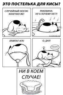 Кошатники поймут 😸